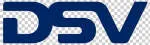 DSV company logo