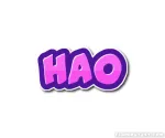 HAO Corp company logo