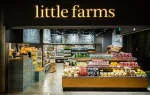 LITTLE FARMS PTE. LTD. company logo