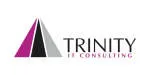 TRINITY CONSULTING SERVICES PTE. LTD. company logo