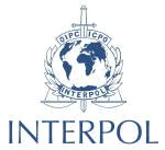 Interpol company logo