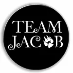 TEAM JACOB PTE. LTD. company logo