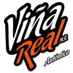 Vina Group company logo