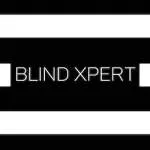 BLINDXPERT PTE. LTD. company logo