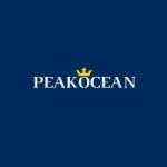 PEAK OCEAN PTE. LTD. company logo