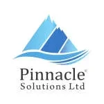 Pinnacle Solution(s) Pte Ltd company logo