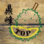 TOP DURIAN STATION PTE. LTD. company logo