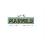 Little Marvels Therapy company logo