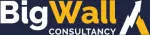 BIG WALL CONSULTANCY LLP company logo