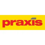 Praxis Automation Far East Pte Ltd company logo