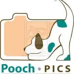 Pooch image company logo